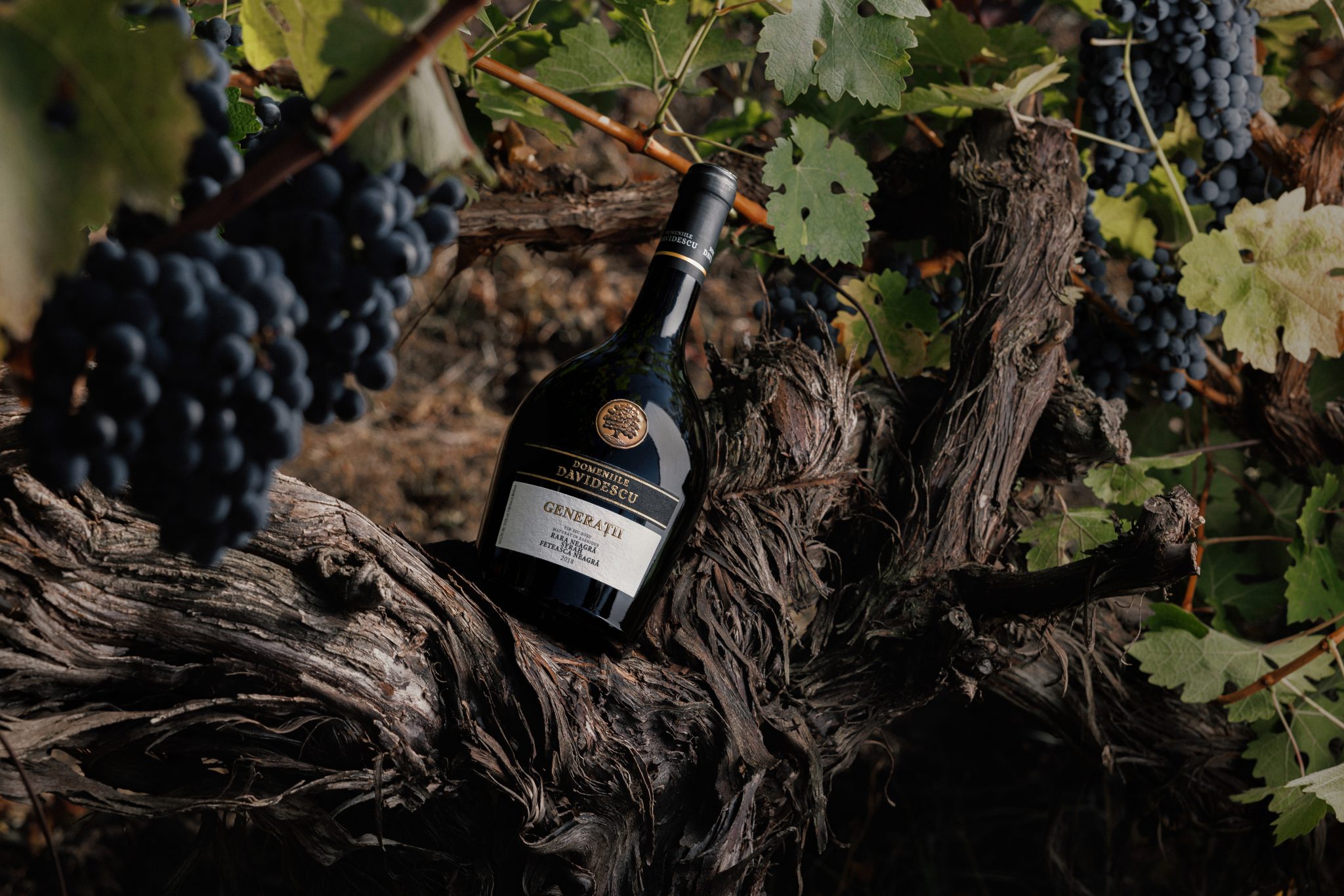 Sticlă de vin domeniile davidescu în vie